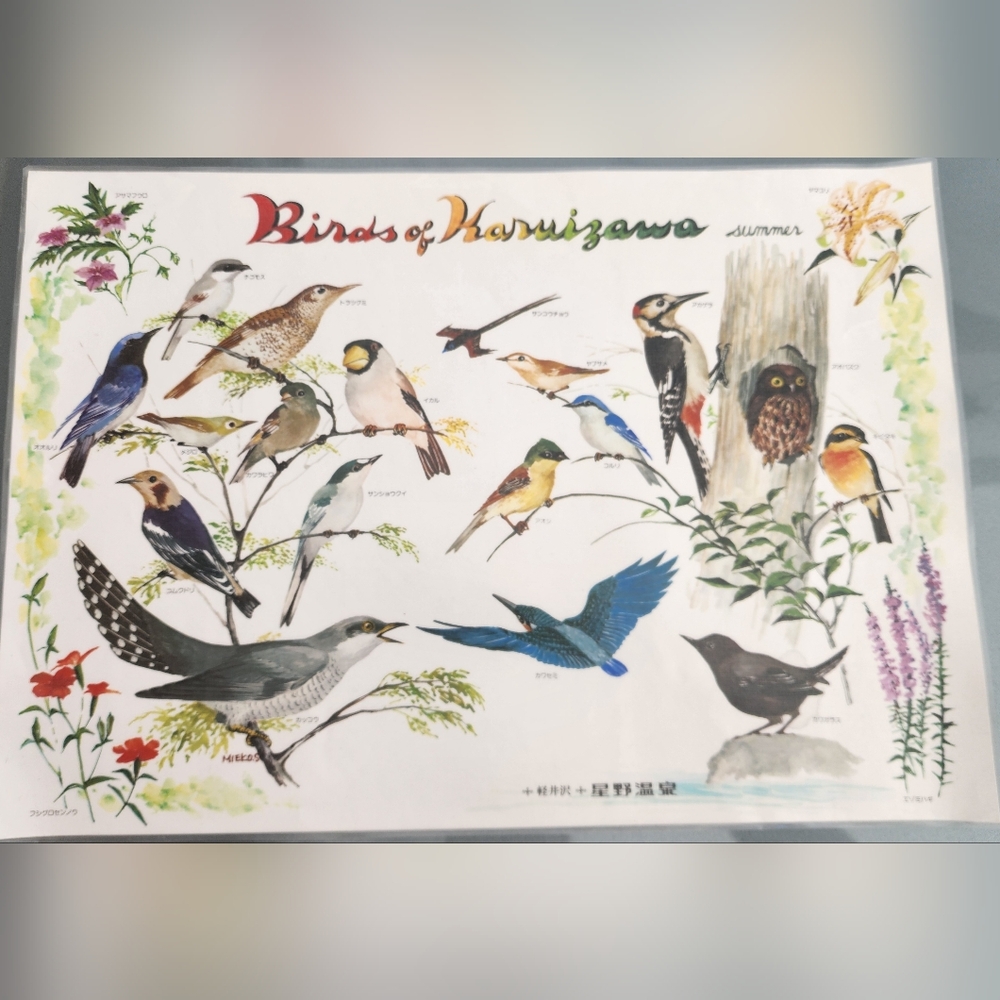Birds of Karuizawa Summer Poster